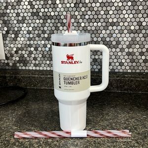 Stanley, limited edition, cyber Monday quencher h2.0 tumbler